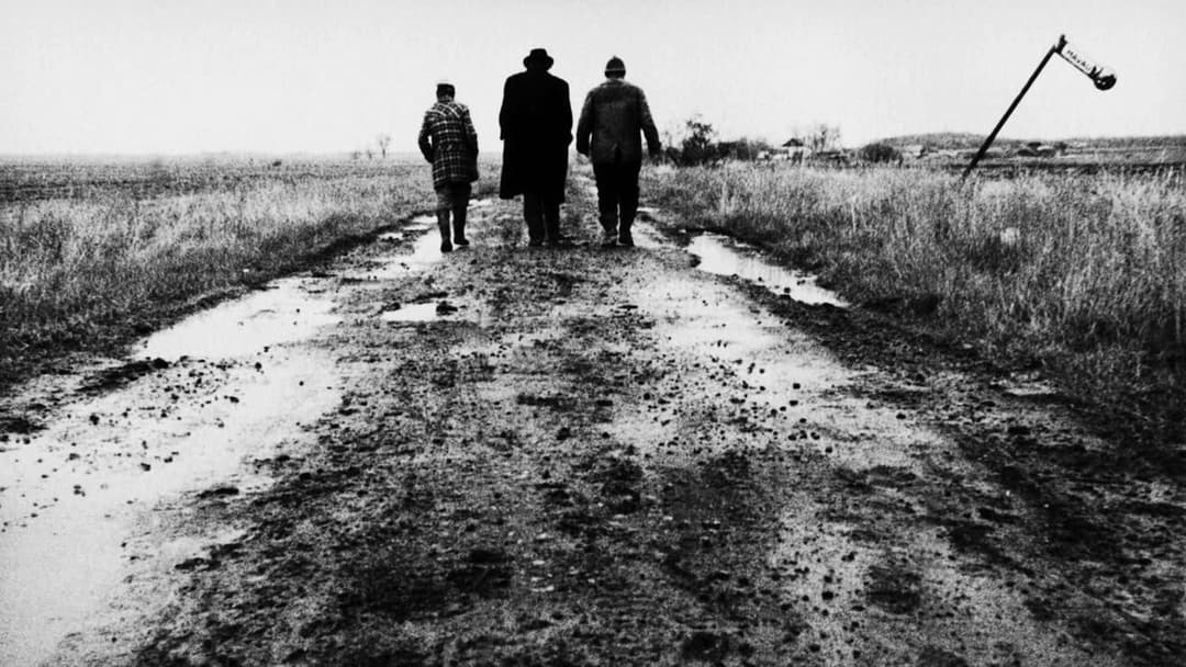 Satantango backdrop 6