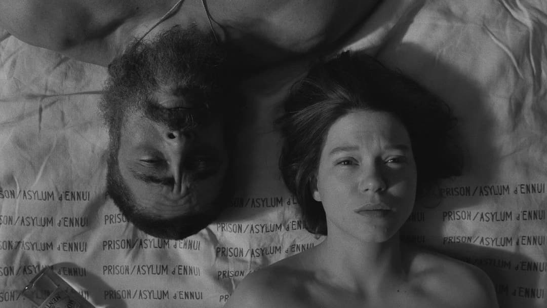 The French Dispatch of the Liberty, Kansas Evening Sun backdrop 20