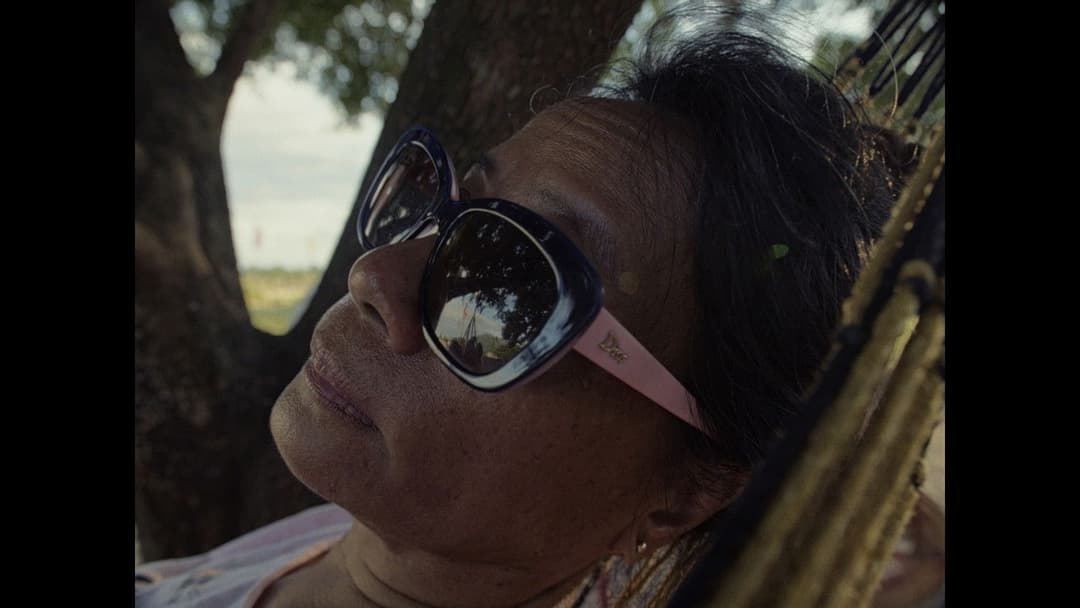 In the Morning Sun backdrop 1