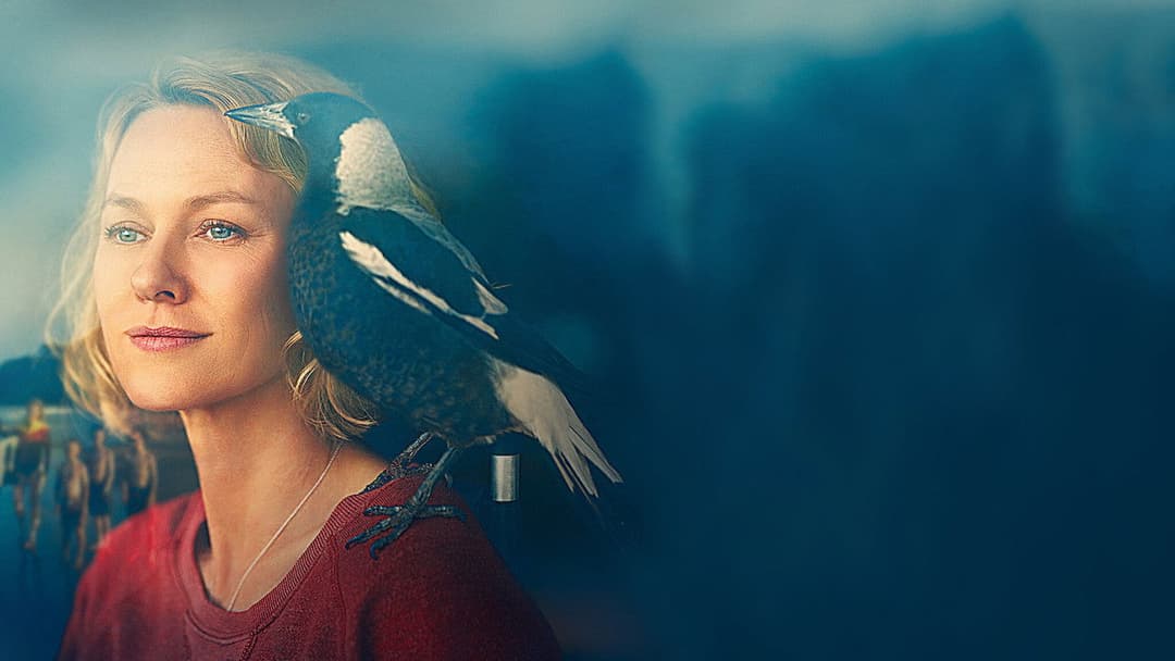 Пінгвін Блюм backdrop 9