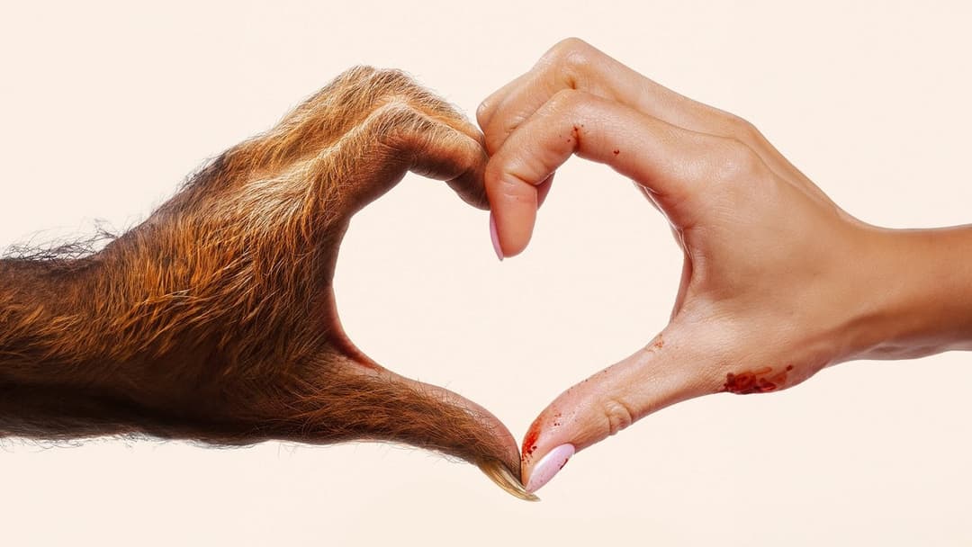 Your Monster backdrop 3