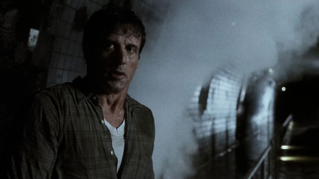 Daylight backdrop 14