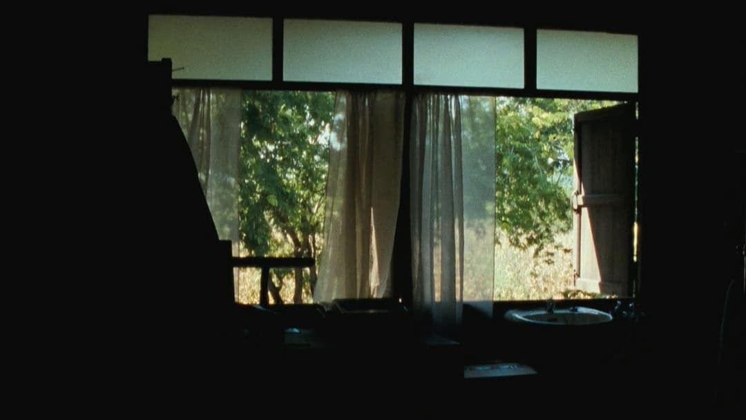 Uncle Boonmee Who Can Recall His Past Lives backdrop 5