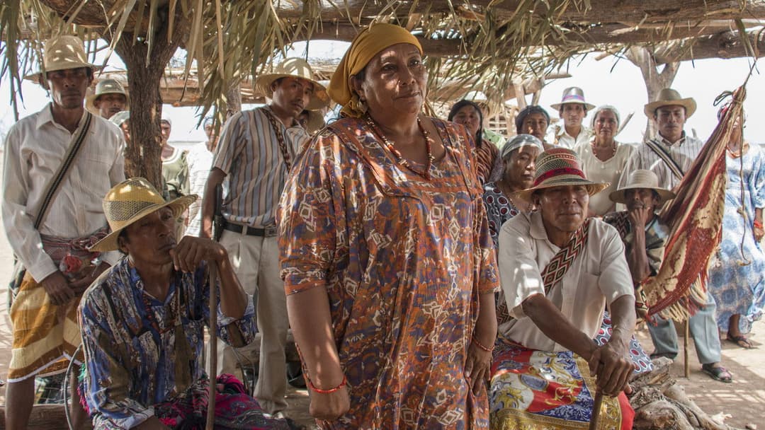 Pájaros de verano backdrop 19