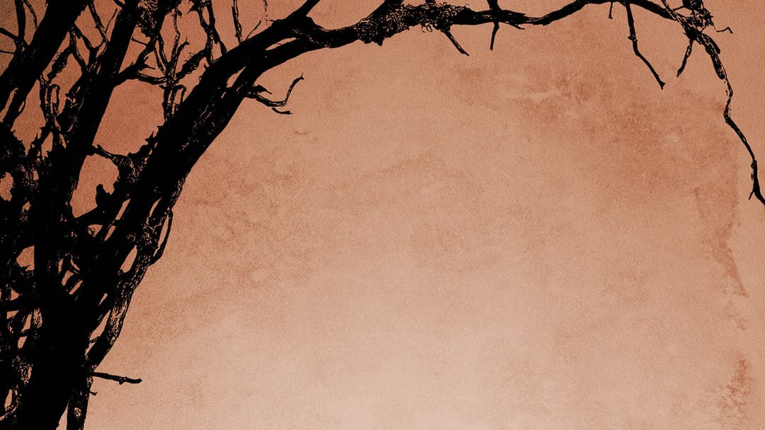 12 Years a Slave backdrop 15