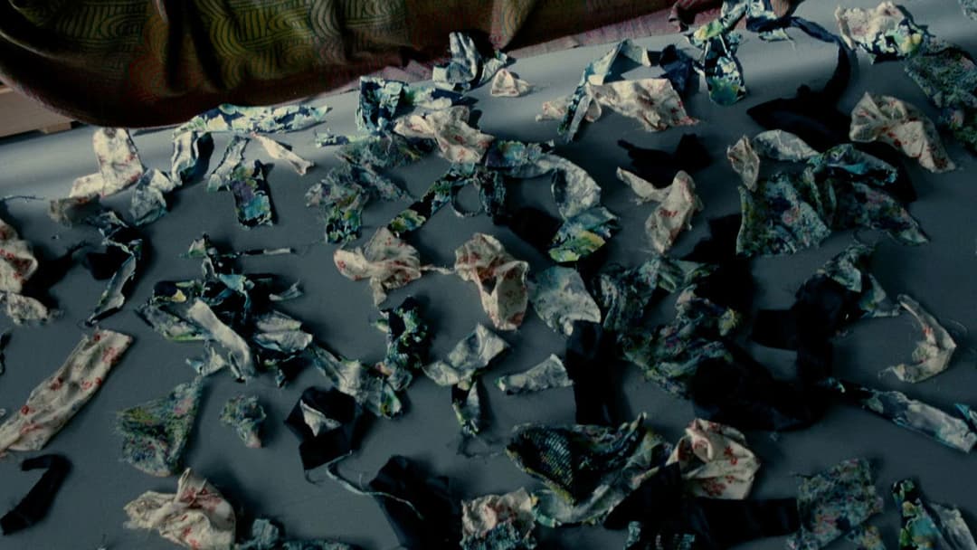 The Skin I Live In backdrop 16