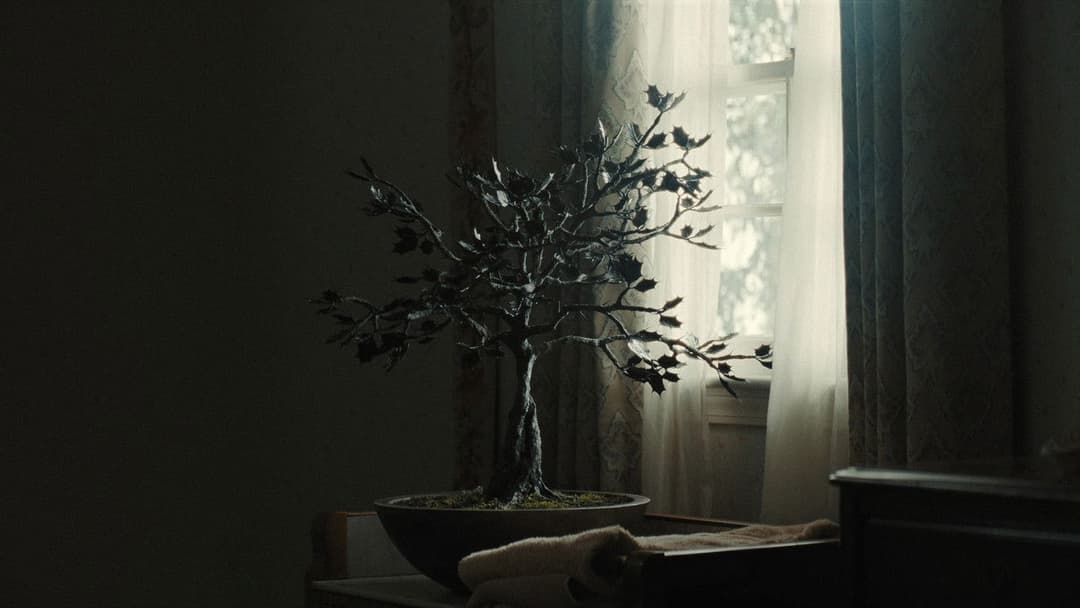 Weapons - Die Stunde des Verschwindens backdrop 20