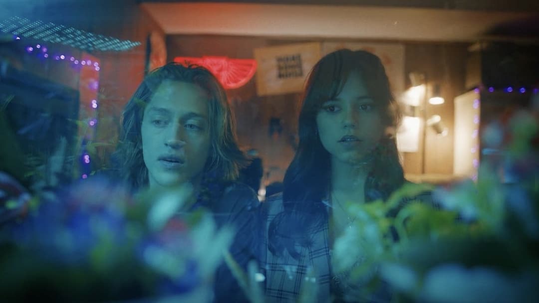 Winter Spring Summer or Fall backdrop 2