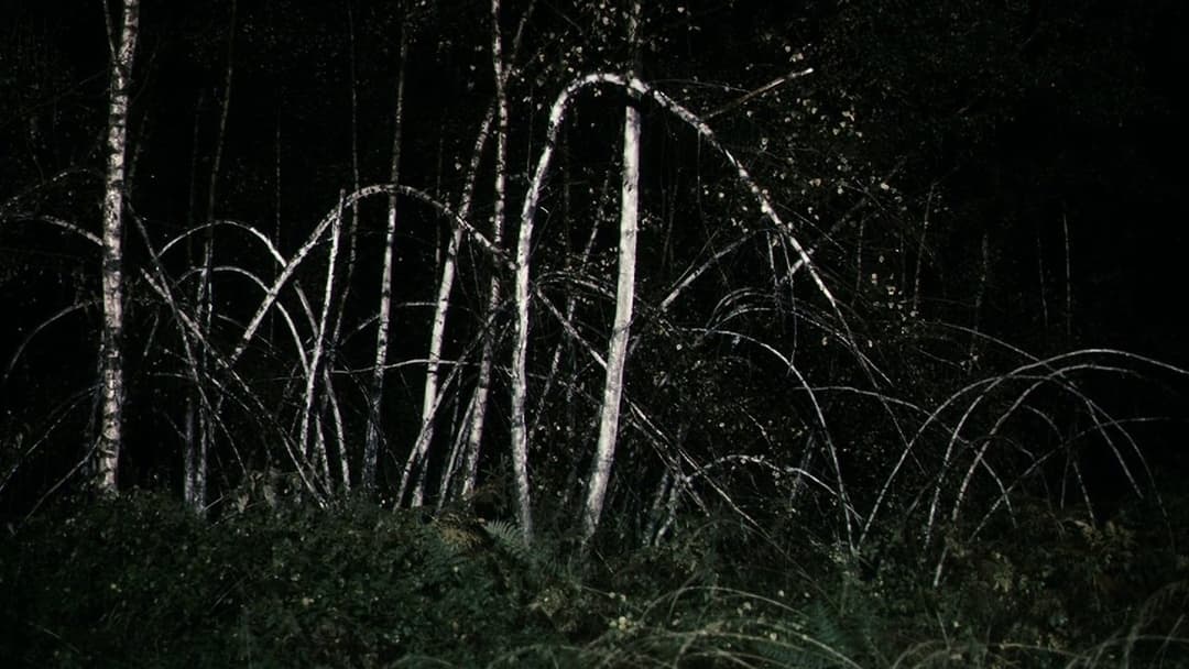 Антихрист backdrop 5