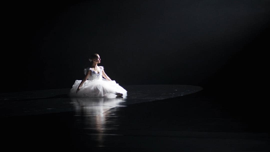 Black Swan backdrop 13