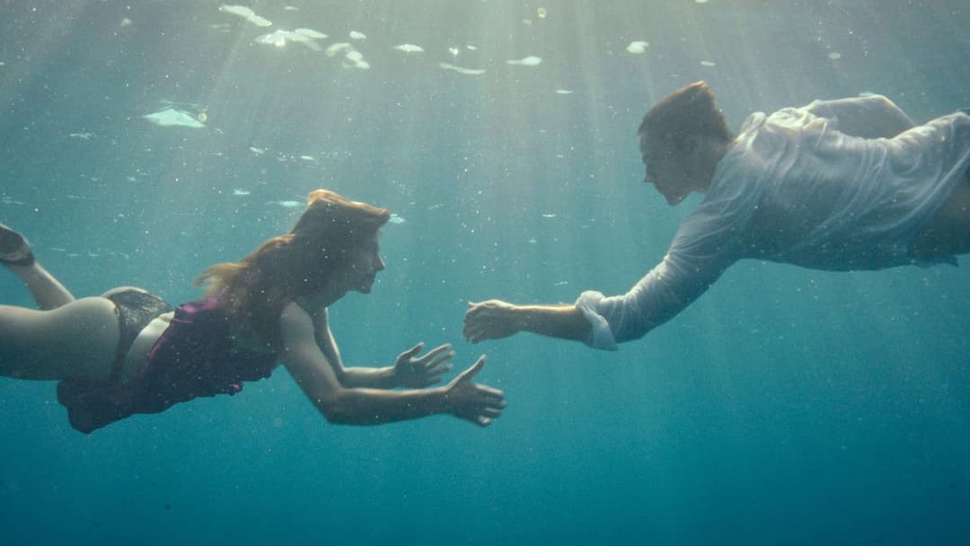 Fall for Me backdrop 7