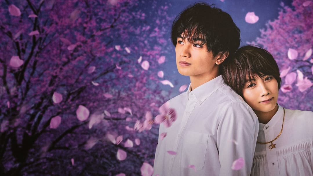 桜のような僕の恋人 backdrop 2