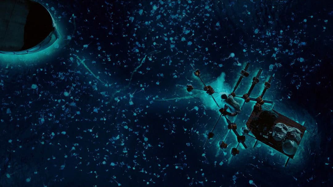 Життя Пі backdrop 19