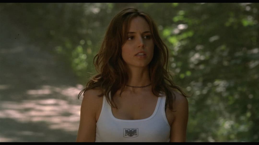 Поворот не туди backdrop 13