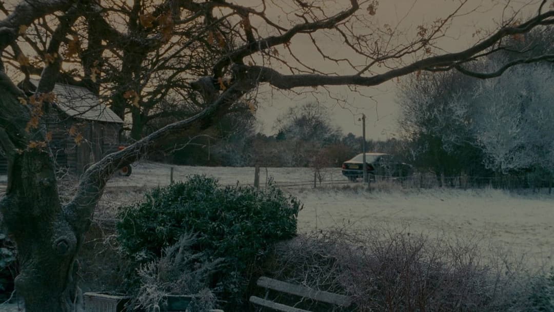 The Holiday backdrop 15