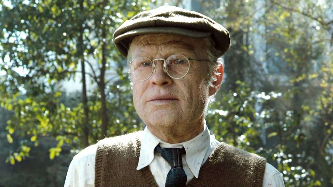 Загадкова справа Бенджаміна Баттона backdrop 8