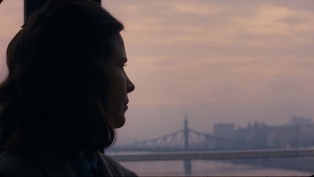 Preparations to Be Together for an Unknown Period of Time backdrop 19