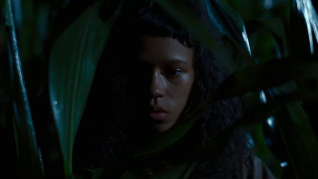 Разом з кістками backdrop 18