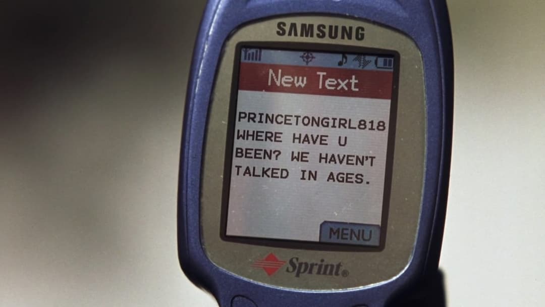 Cinderella Story backdrop 15