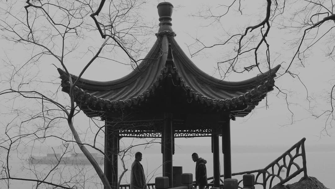 伤寒杂病论 backdrop 2