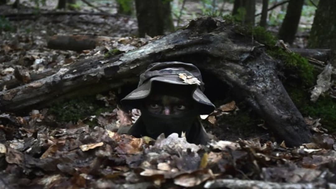 Схід backdrop 11