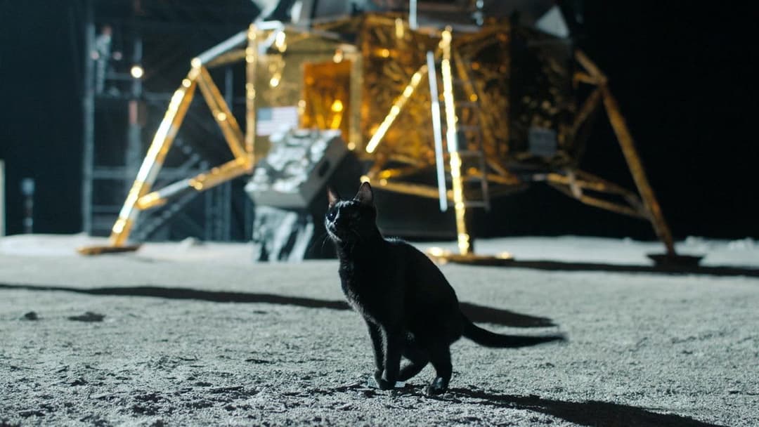 Fly Me to the Moon backdrop 9