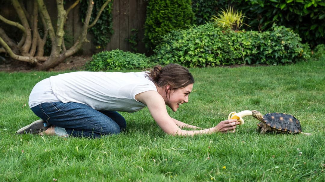 Grow Up!? - Erwachsen werd' ich später backdrop 9