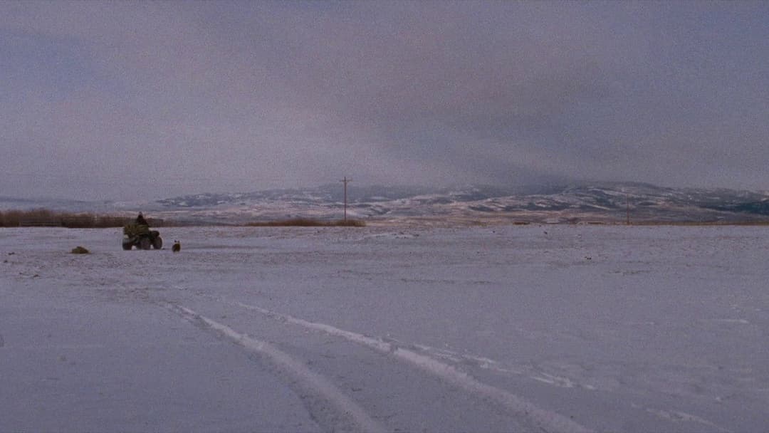 Деякі жінки backdrop 7