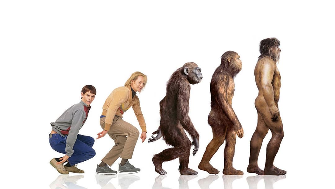 Тупий та ще тупіший backdrop 13