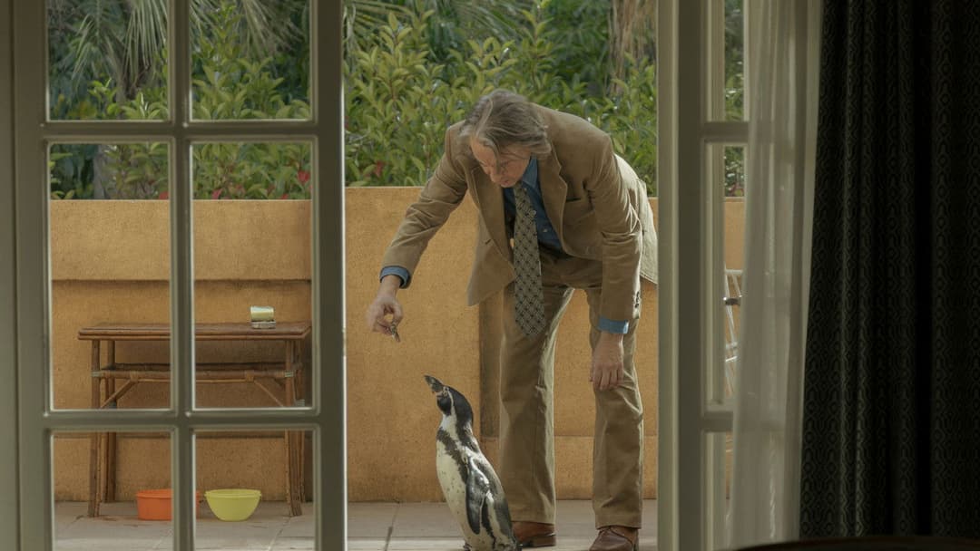 Уроки містера пінгвіна backdrop 10