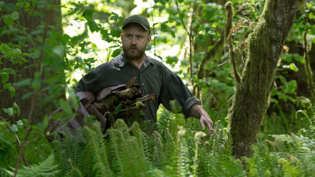 Leave No Trace backdrop 6