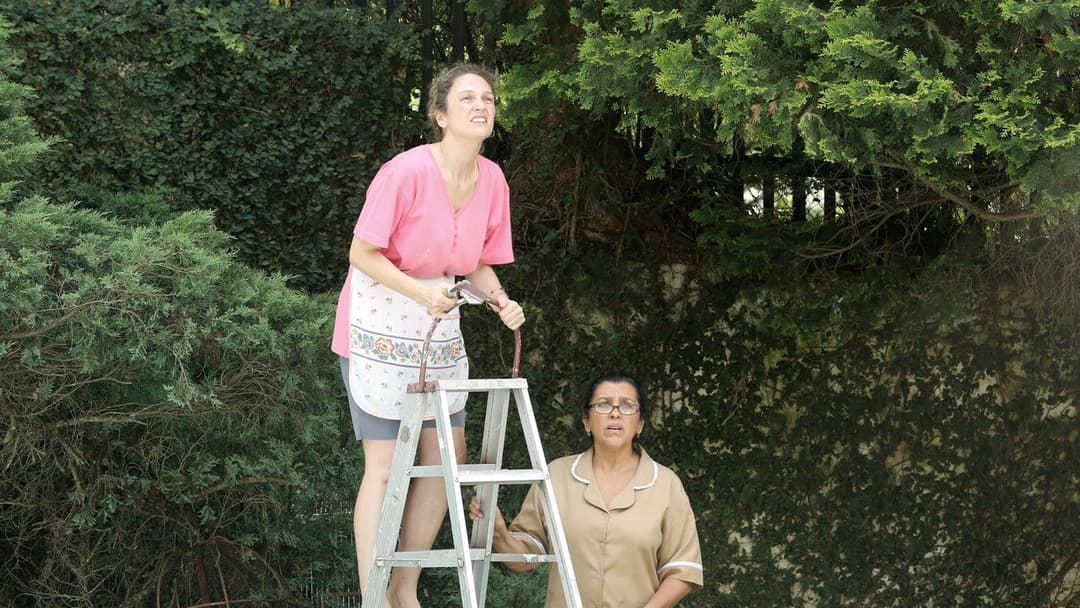 The Second Mother backdrop 8