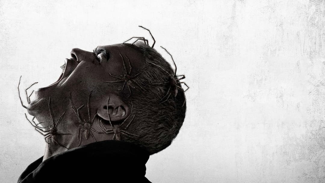 Павуче лігво backdrop 5