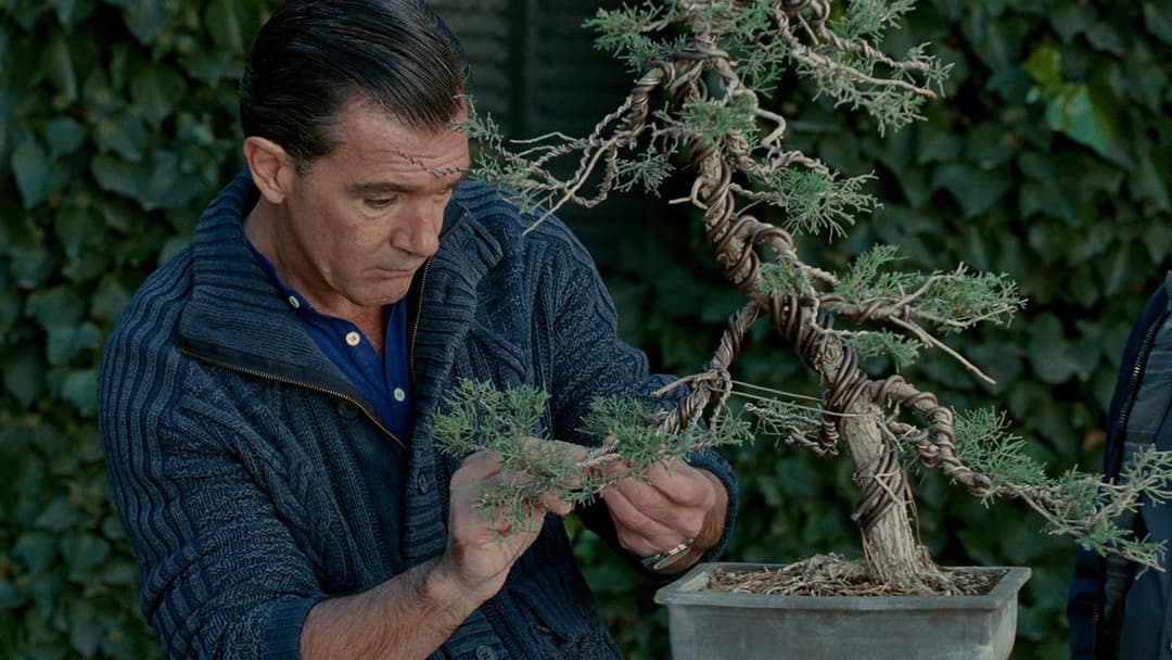 The Skin I Live In backdrop 15