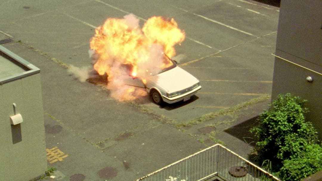 Dead or Alive backdrop 16