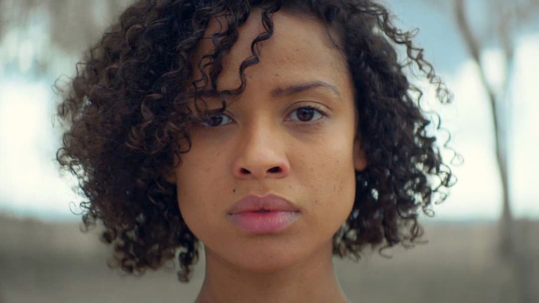 Швидкий колір backdrop 11