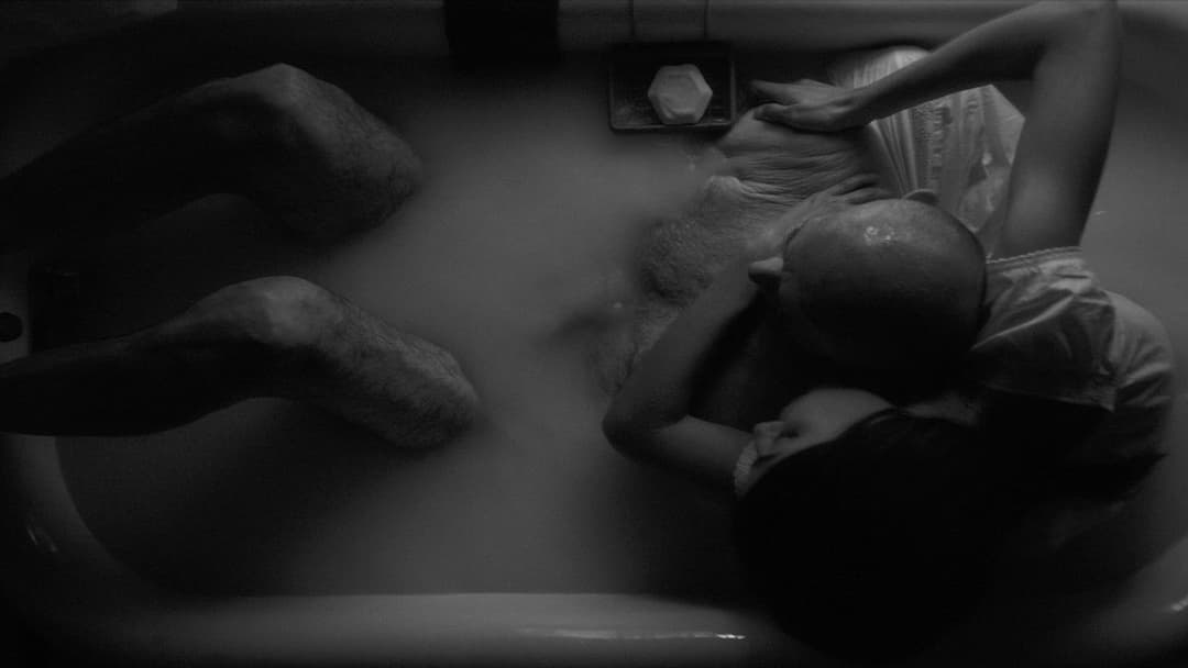 Очі моєї матері backdrop 7