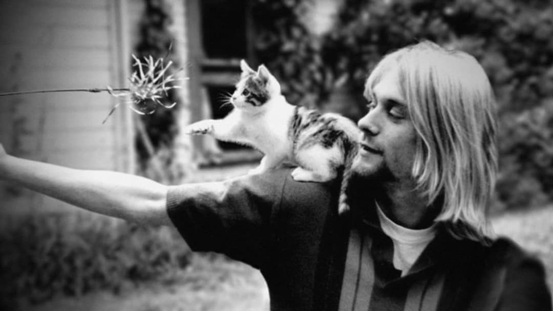 Курт Кобейн: Клятий монтаж backdrop 10