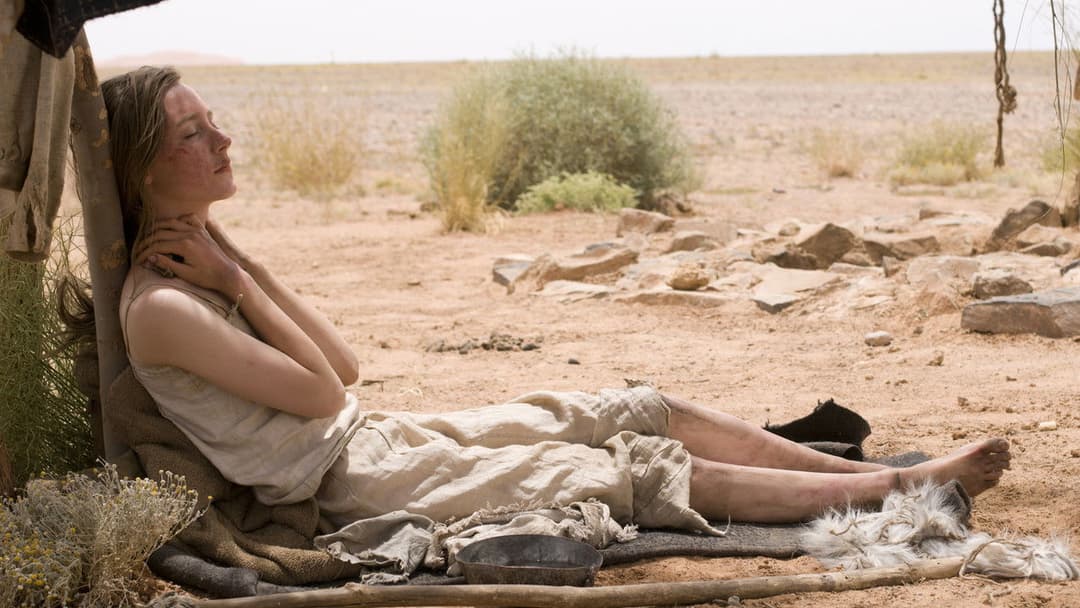 Шлях додому backdrop 4