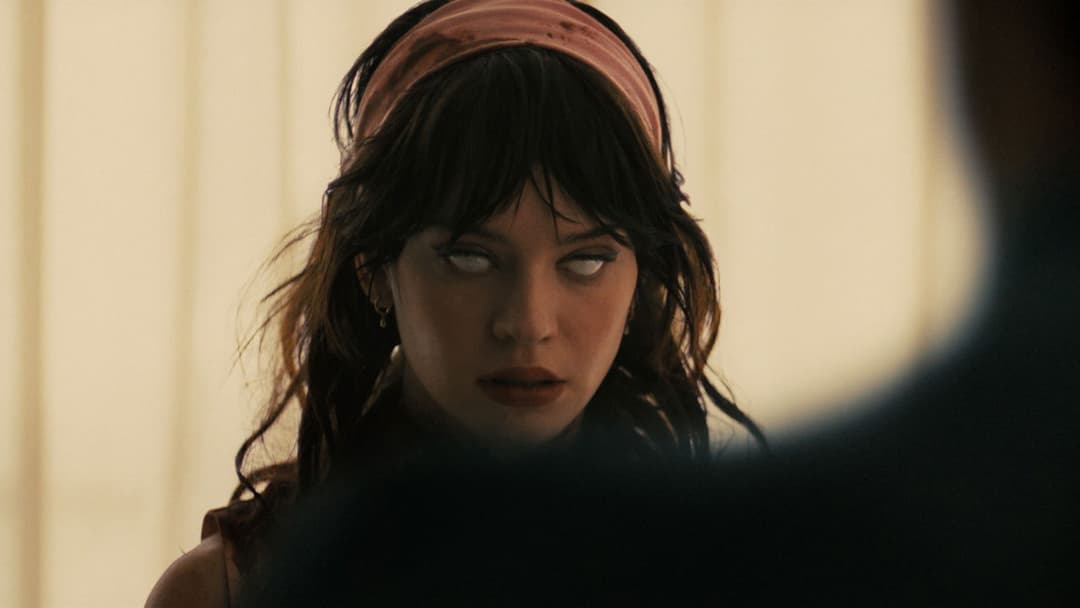 Компаньйон backdrop 5