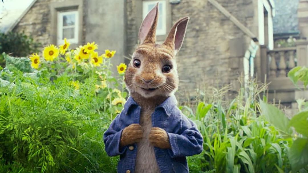 Peter Rabbit backdrop 8