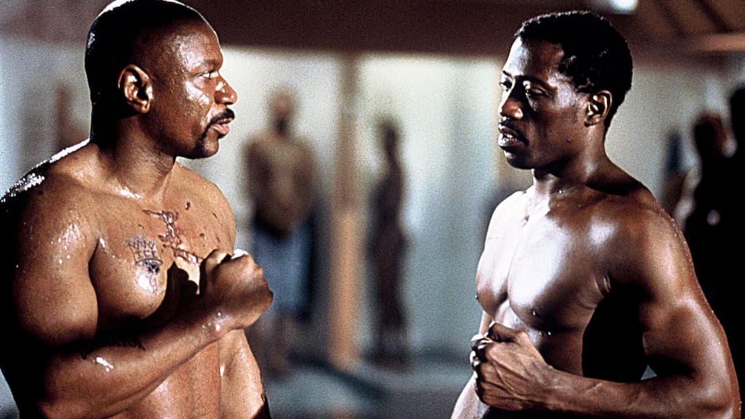 Undisputed backdrop 10