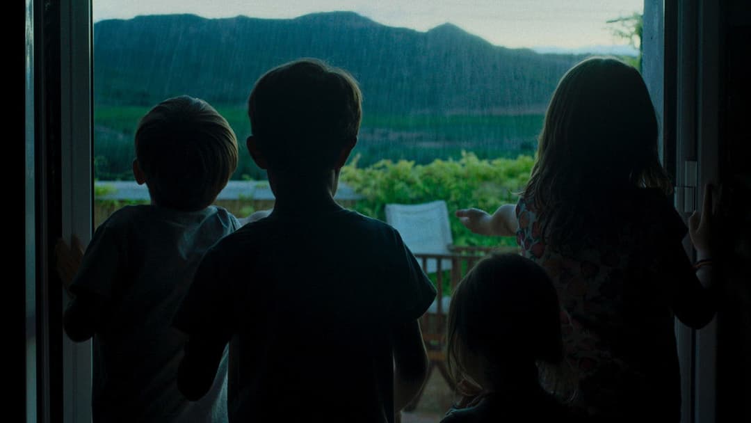 Алькаррас backdrop 11