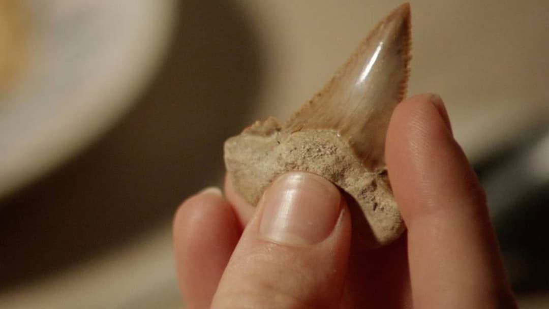 Синя безодня 2 backdrop 7