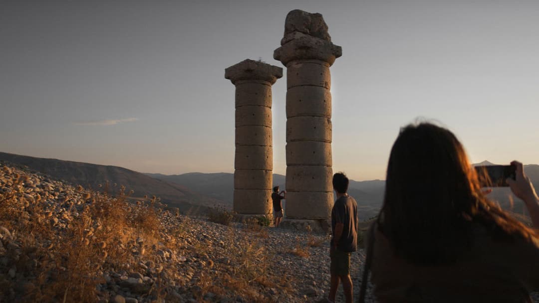 Auf trockenen Gräsern backdrop 9