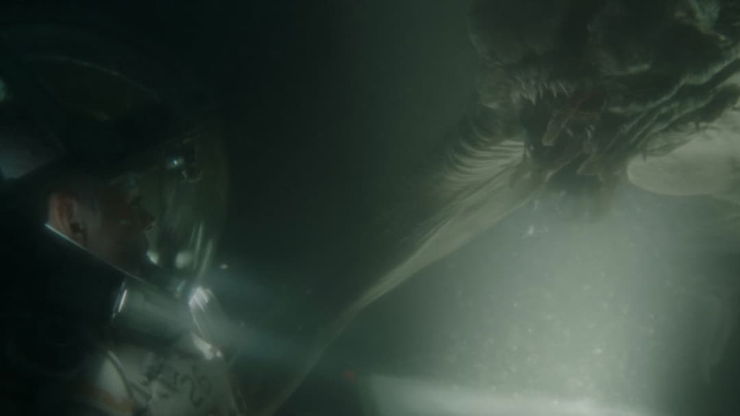 Underwater backdrop 15