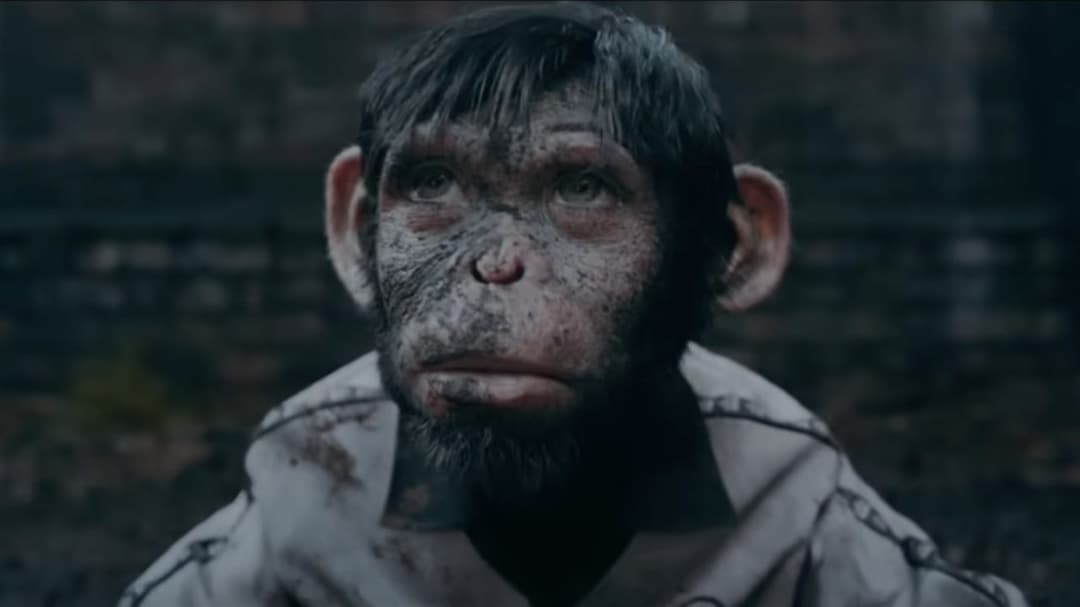 Роббі Вільямс: Better Man backdrop 20