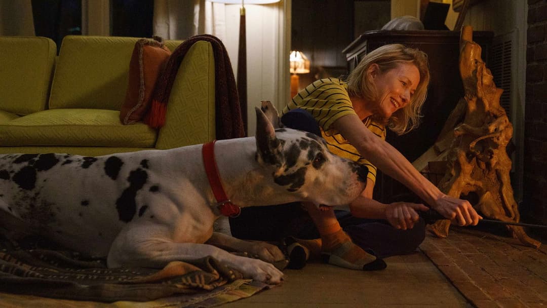 The Friend backdrop 13