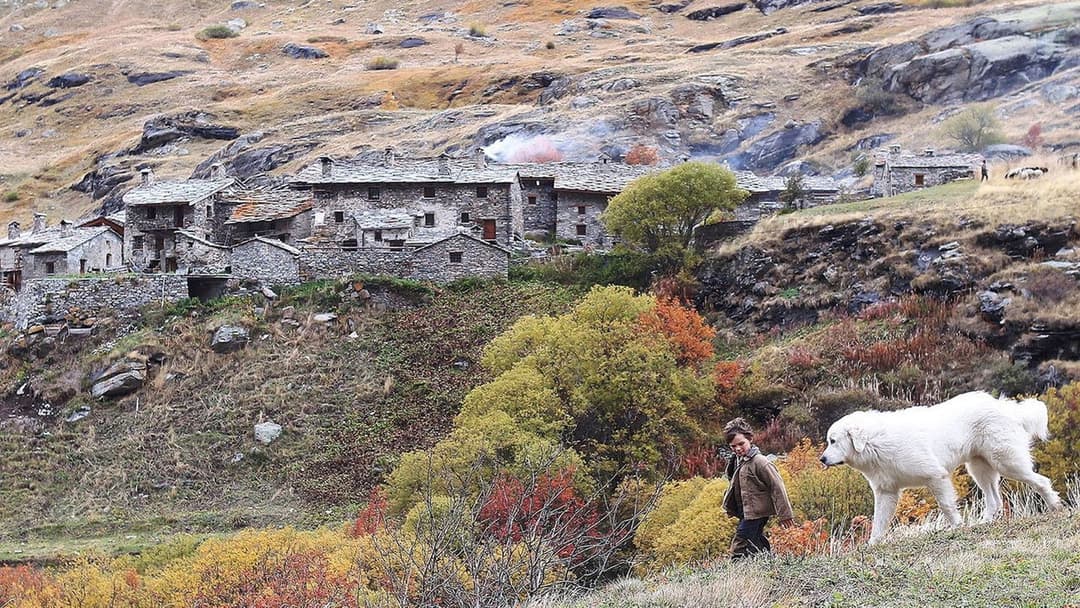 Belle and Sebastian backdrop 5