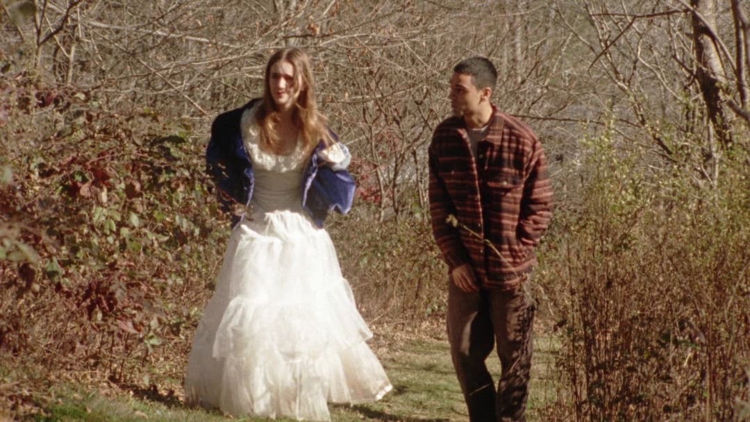 Дивотріп backdrop 4